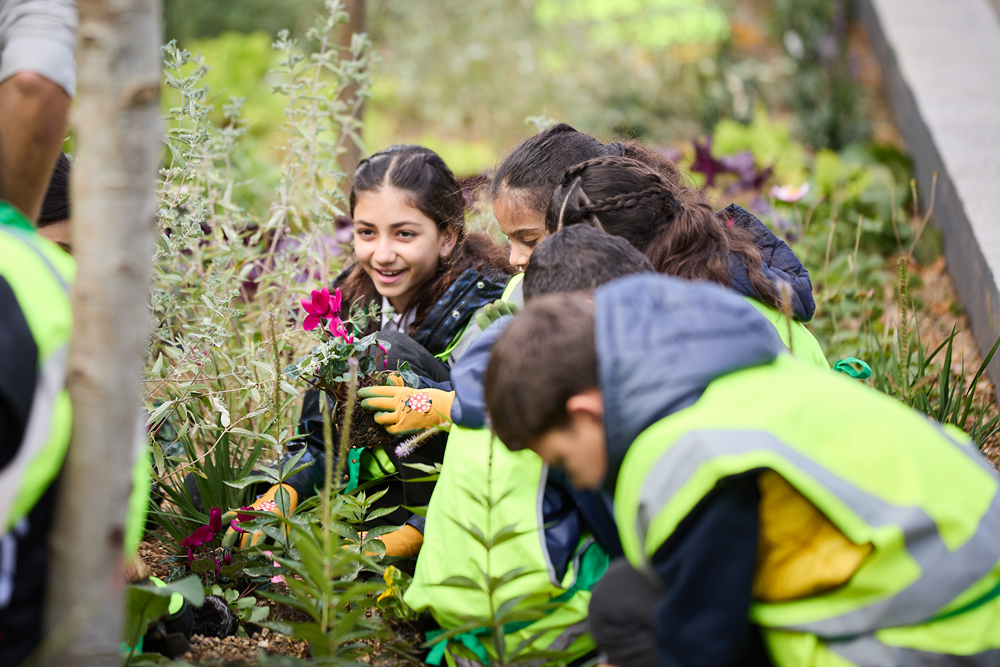 Image—Marylebone-Flyover-rain-gardens-with-school-kids-planting-the-final-plants—Credit-Marble-Arch-London-BID-&-Michael-Pilkington