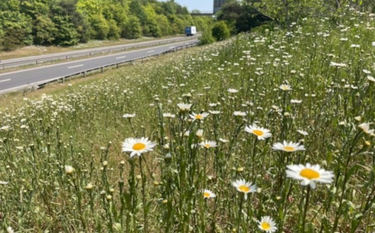 c0dd7a685474449ab561e57154592493